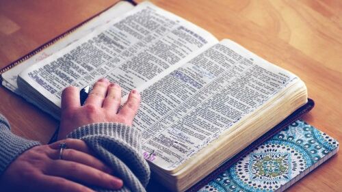 Bibliothek Bibel